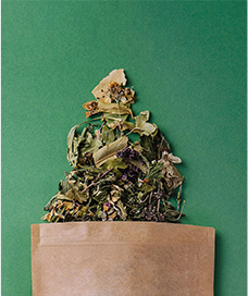 Medicinal-plants