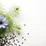 minimalist-background-with-black-cumin-seeds-flowering-nigella-sativa_1336356-24520