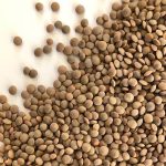 canadian-green-lentils